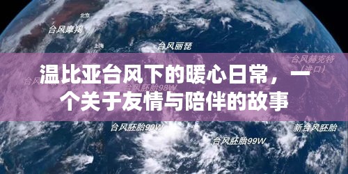 温比亚台风下的暖心日常，友情与陪伴的力量故事