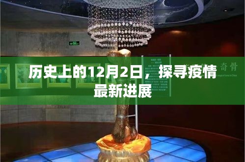 疫情最新进展揭秘，历史上的12月2日回顾