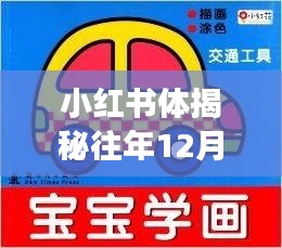 小红书揭秘，安庆往年交通事故深度解析与应对策略（12月2日最新）