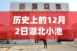 湖北小池最新新闻动态分析，聚焦历史与最新进展的交汇点