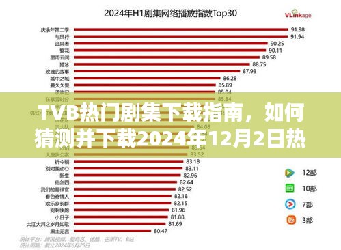 TVB剧集下载指南，预测并下载热门剧集，初学者与进阶用户通用指南（2024年12月版）