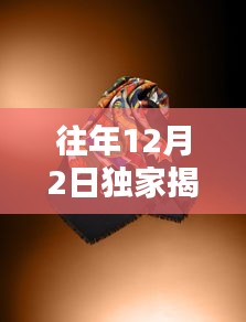 古奇包最新时尚潮流揭秘，独家呈现往年时尚趋势之选