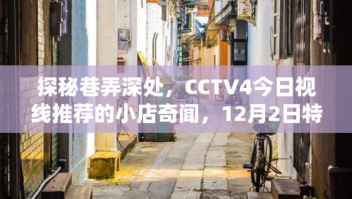 探秘巷弄深处的风情小店，CCTV4今日视线12月2日特色风情推荐