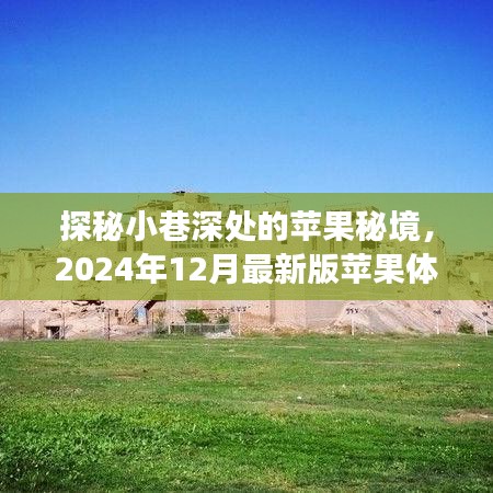 探秘小巷深处的苹果秘境，最新苹果体验之旅（2024年12月）