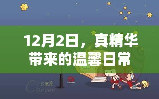 真精华带来的温馨日常——12月2日记录