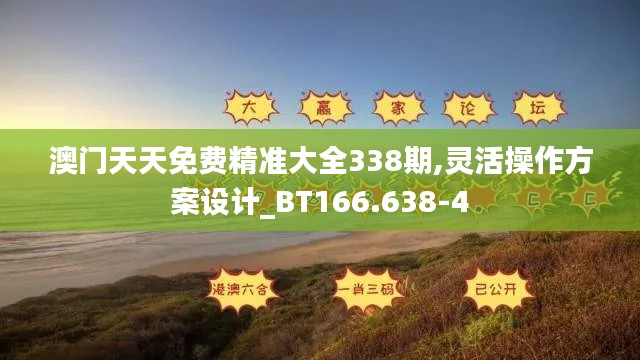 澳门天天免费精准大全338期,灵活操作方案设计_BT166.638-4