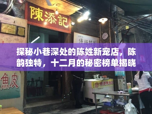 探秘小巷深处的陈姓新宠店，陈韵独特，十二月的秘密榜单揭晓