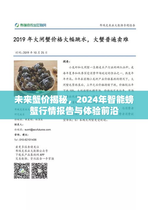 未来蟹价揭秘，智能螃蟹行情报告与前沿体验展望（2024年）