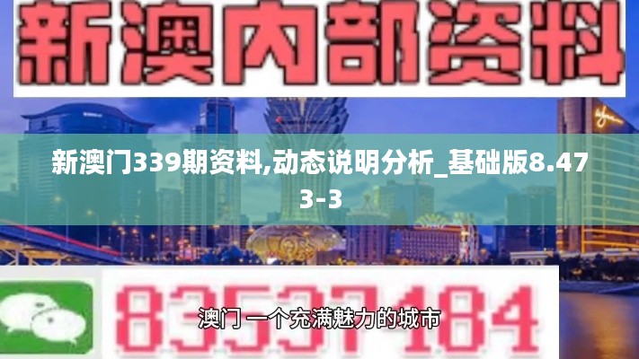 新澳门339期资料,动态说明分析_基础版8.473-3