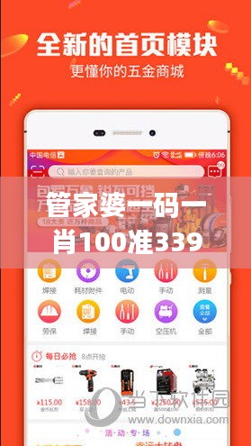 管家婆一码一肖100准339期,高速解析方案响应_D版91.261-4