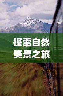 疫情后的自然探索之旅，寻找心灵的宁静与平和