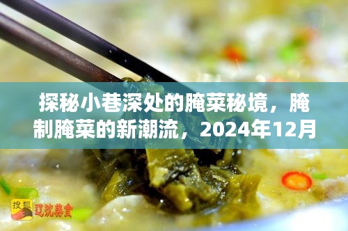 探秘小巷腌菜秘境，腌制腌菜的新潮流与热门秘诀（2024年12月2日更新）