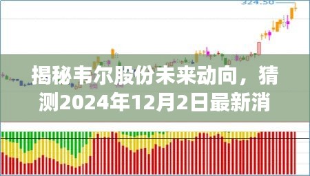 揭秘韦尔股份未来动向，最新预测至2024年12月动向展望