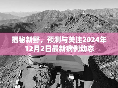 揭秘新野，最新病例动态预测与关注（2024年12月2日）