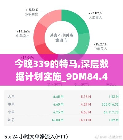 今晚339的特马,深层数据计划实施_9DM84.454-8