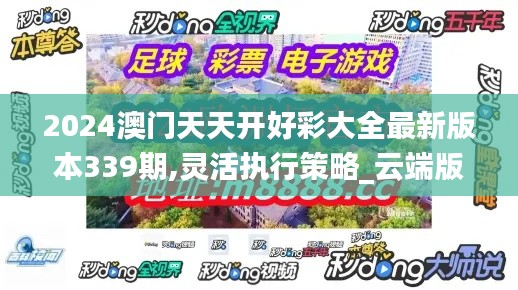 2024澳门天天开好彩大全最新版本339期,灵活执行策略_云端版68.594-6