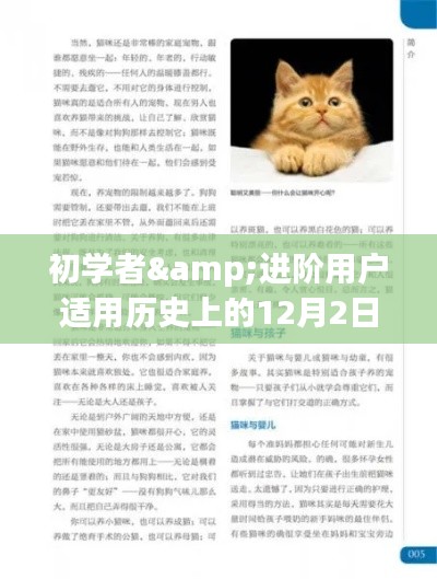 猫咪文化深度体验指南，从入门到进阶，历史上的12月2日热门猫咪知识一网打尽！