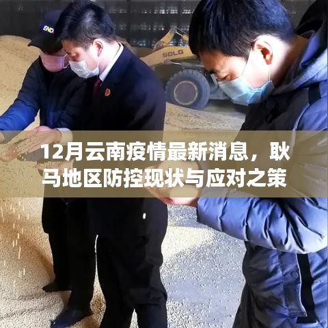 云南耿马地区疫情防控最新动态与应对策略