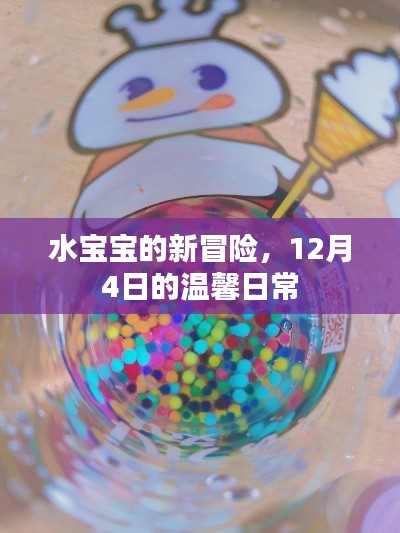 水宝宝的新冒险，12月4日的日常温馨之旅