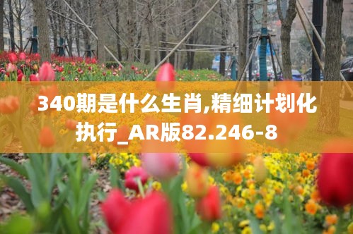 340期是什么生肖,精细计划化执行_AR版82.246-8