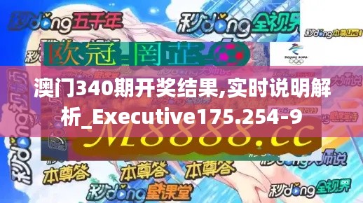 澳门340期开奖结果,实时说明解析_Executive175.254-9