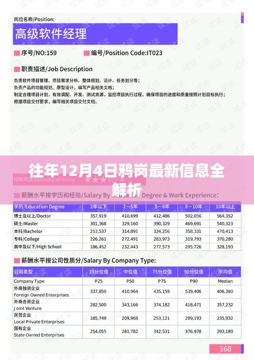 往年12月4日鸦岗最新信息详解