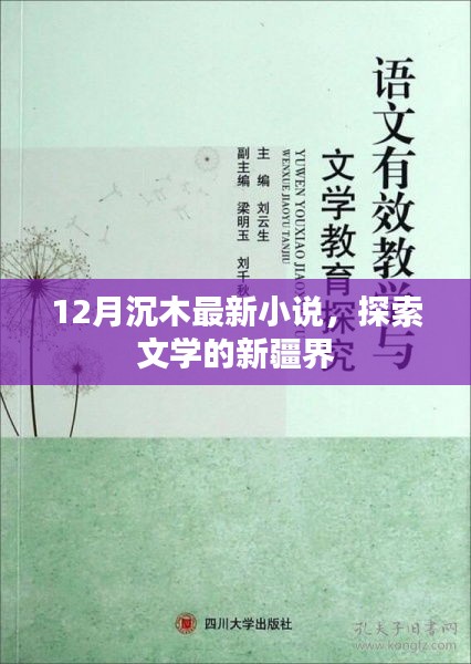 12月沉木最新小说，文学疆界的探索