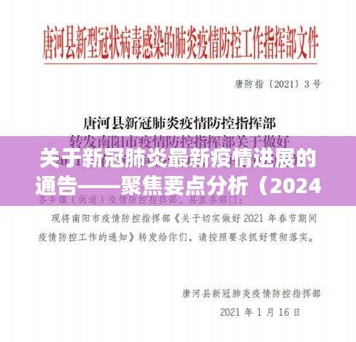 新冠肺炎最新疫情进展分析报告，聚焦要点分析（截至2024年12月4日）