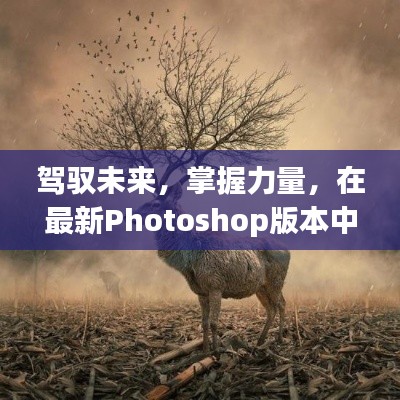 最新Photoshop版本，塑造创意世界之旅，驾驭未来之力