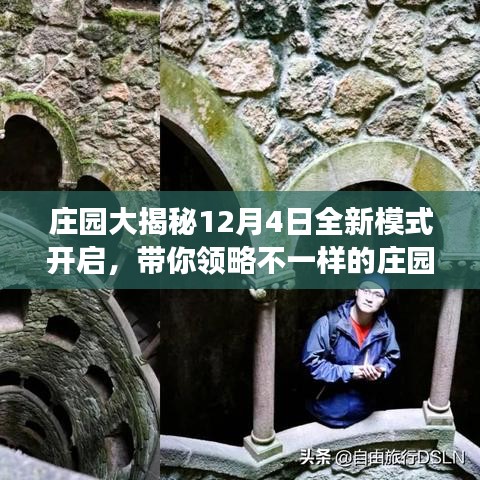 庄园冒险之旅全新模式开启，庄园大揭秘，带你领略独特体验！