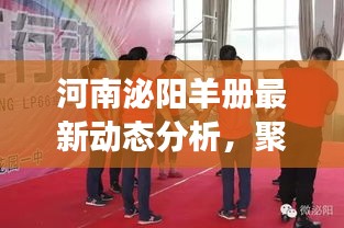 河南泌阳羊册最新动态深度解析，观点聚焦与个人立场阐述