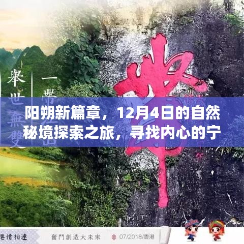 阳朔新篇章，探索自然秘境之旅，寻找内心的宁静与平和（12月4日）