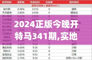 2024正版今晚开特马341期,实地数据验证分析_粉丝版9.513