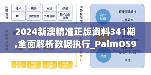 2024新澳精准正版资料341期,全面解析数据执行_PalmOS9.591