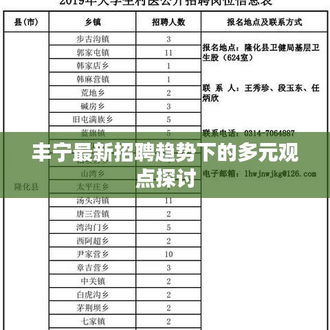 丰宁最新招聘趋势多元观点深度探讨