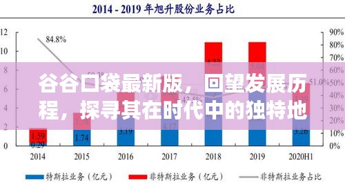 谷谷口袋回望历程，时代变迁中的独特地位探索