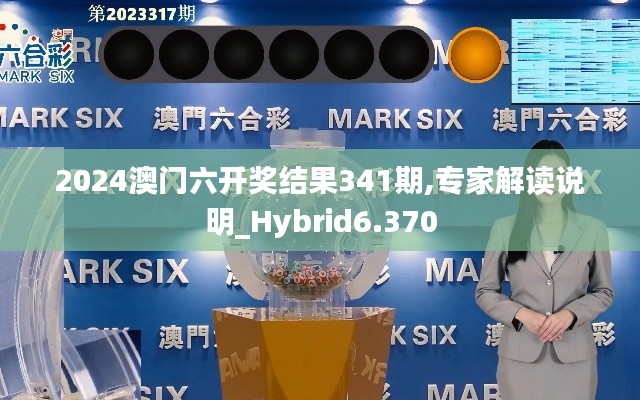 2024澳门六开奖结果341期,专家解读说明_Hybrid6.370