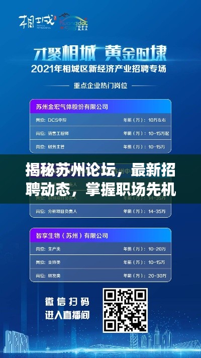 苏州论坛招聘深度解析，揭秘最新招聘动态，掌握职场先机