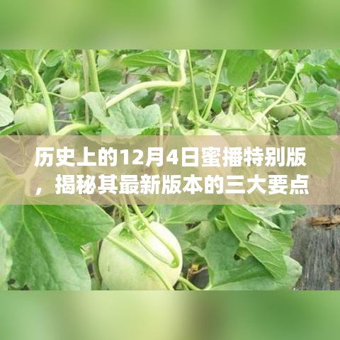 历史上的12月4日蜜播特别版揭秘，三大更新亮点一览无余