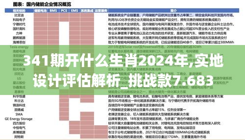 341期开什么生肖2024年,实地设计评估解析_挑战款7.683