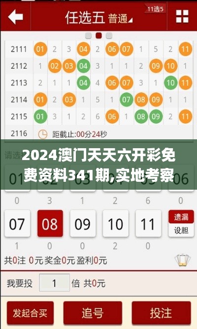 2024澳门天天六开彩免费资料341期,实地考察分析数据_1440p110.728