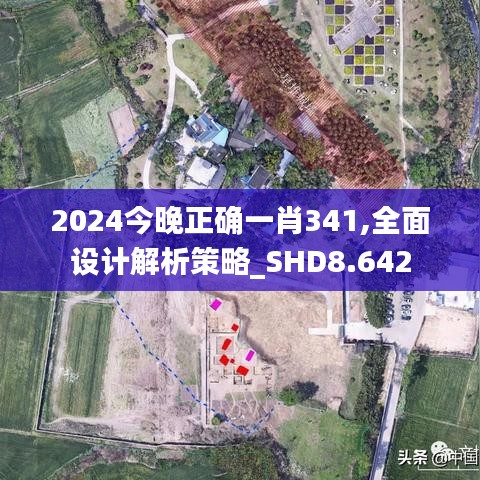 2024今晚正确一肖341,全面设计解析策略_SHD8.642