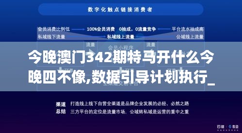 今晚澳门342期特马开什么今晚四不像,数据引导计划执行_V版6.980