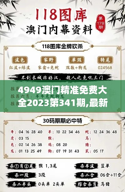 4949澳门精准免费大全2023第341期,最新方案解答_WP110.512