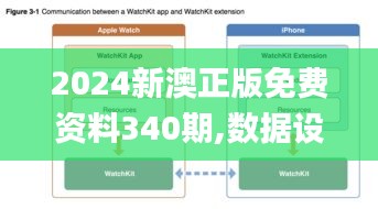 2024新澳正版免费资料340期,数据设计驱动解析_苹果款6.874