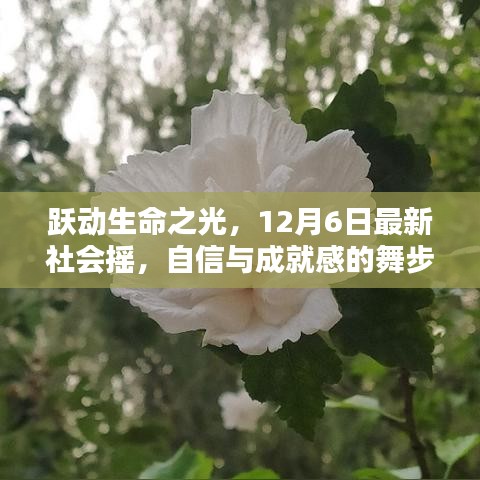 虎视眈眈 第3页