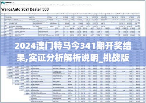 2024澳门特马今341期开奖结果,实证分析解析说明_挑战版10.339