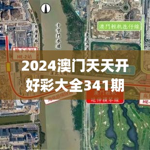 2024澳门天天开好彩大全341期,迅捷解答问题处理_纪念版7.351