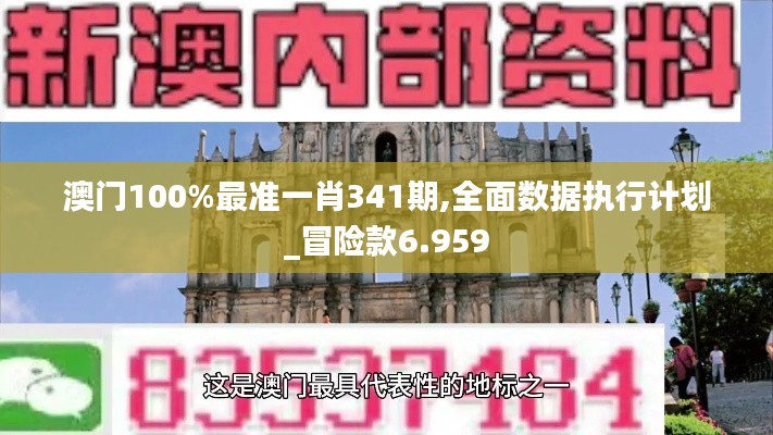 澳门100%最准一肖341期,全面数据执行计划_冒险款6.959