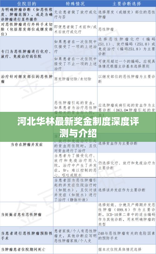 河北华林最新奖金制度深度解析与介绍